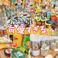画像7300
