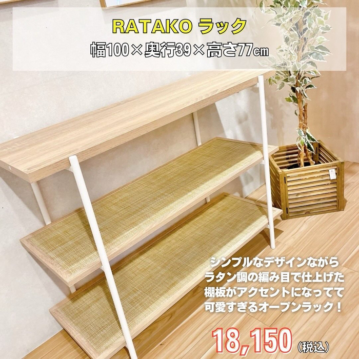 画像7405