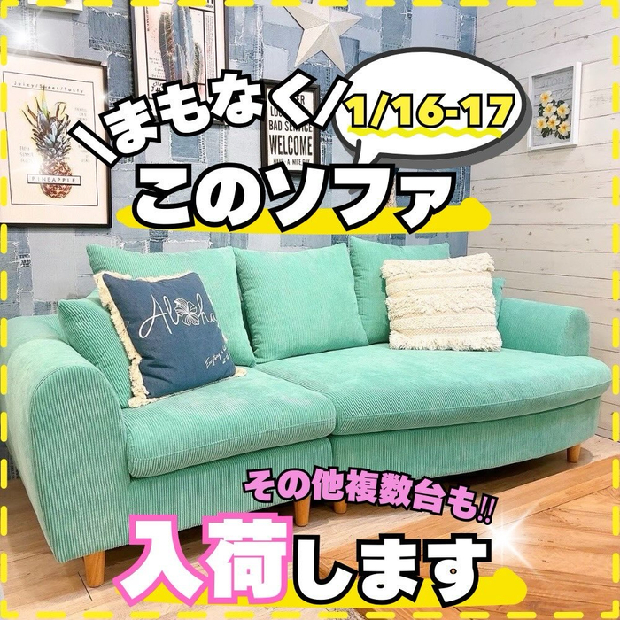画像7456