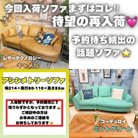 画像7457