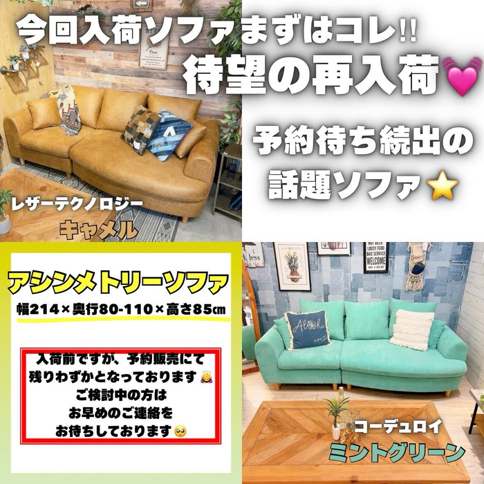 画像7457