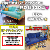 画像7459