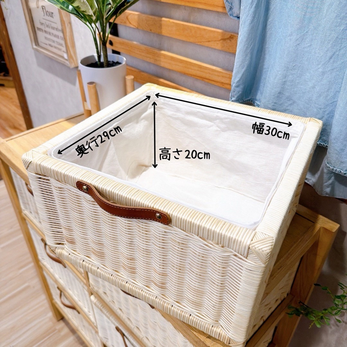 画像7641