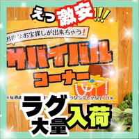 画像7657