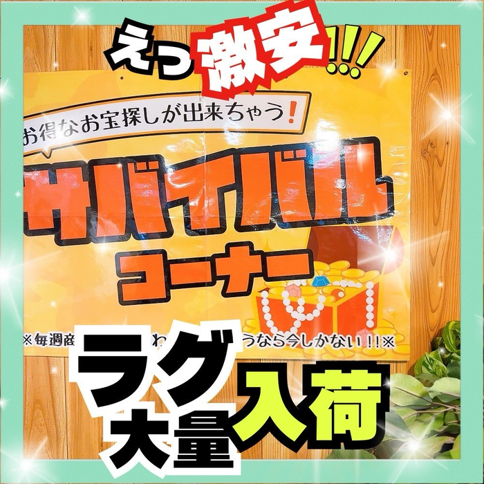 画像7657