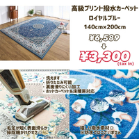 画像7658
