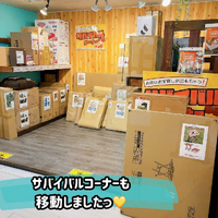 画像766