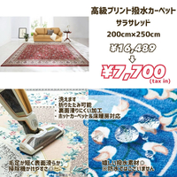 画像7672