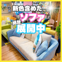 画像7745