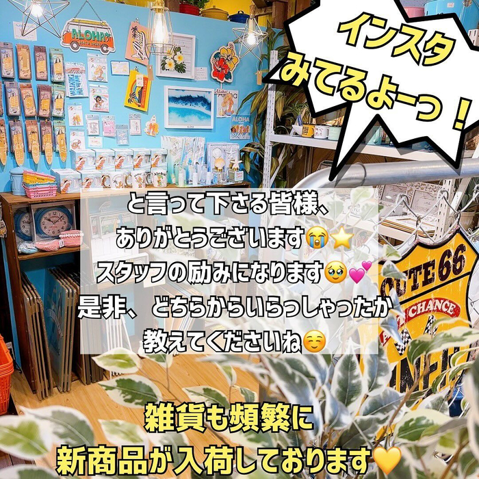 画像780
