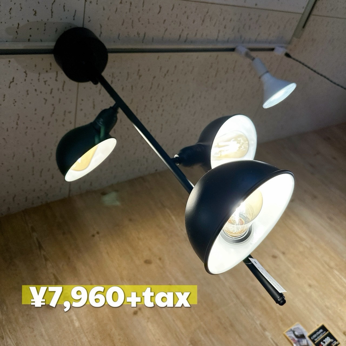 画像7912