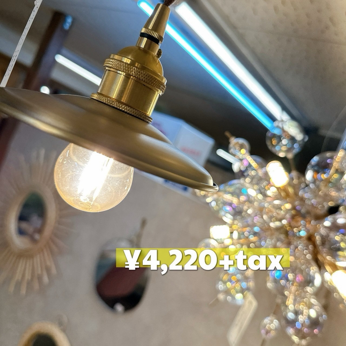 画像7914