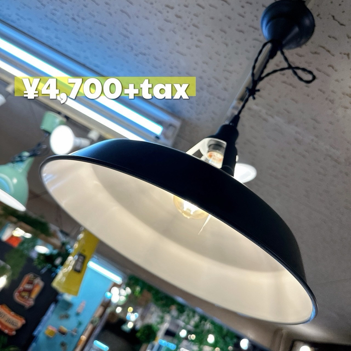 画像7916