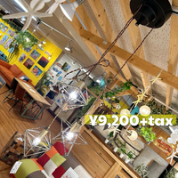 画像7923