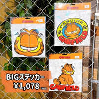 画像7927
