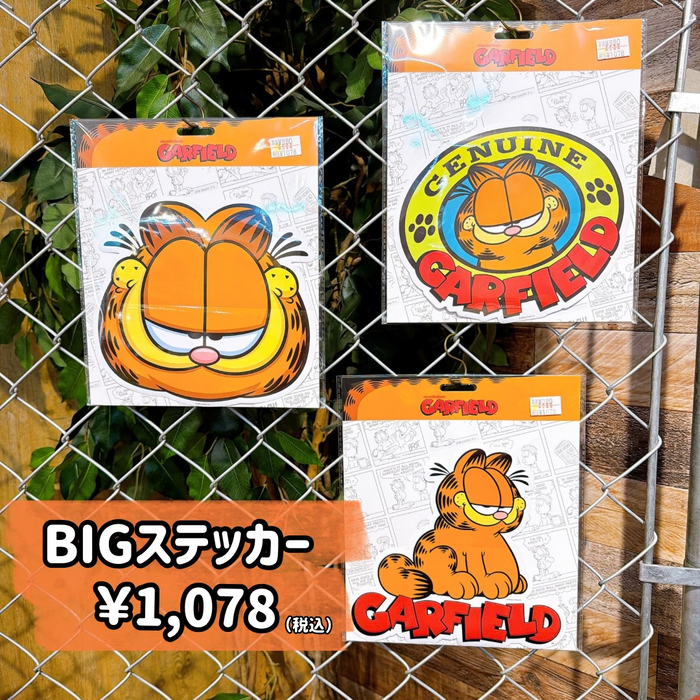画像7927