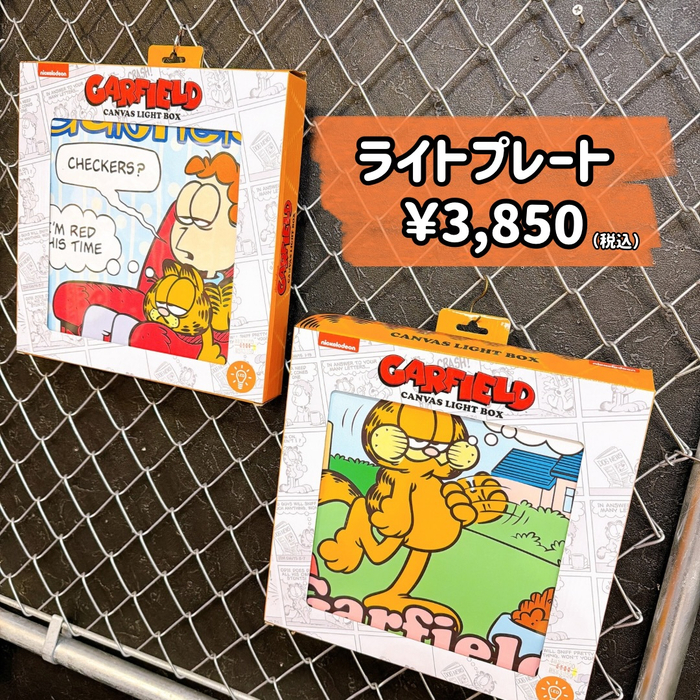 画像7928