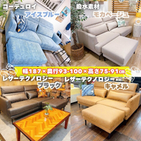 画像7942