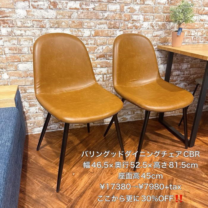 画像7949