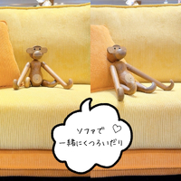画像7973