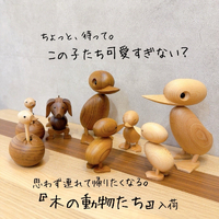 画像7992