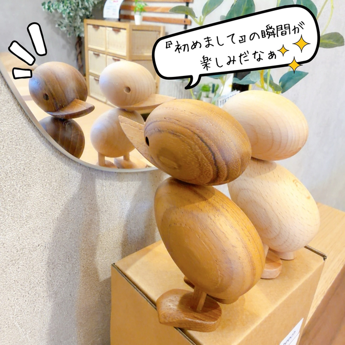 画像7994