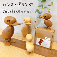 画像7996