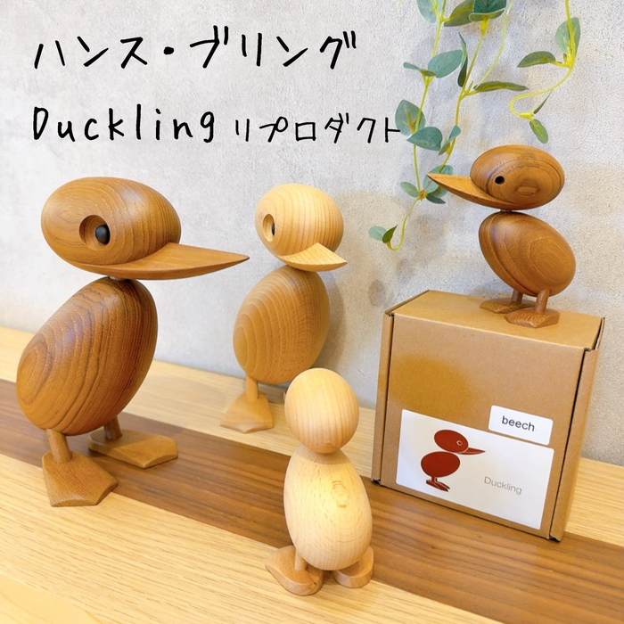 画像7996