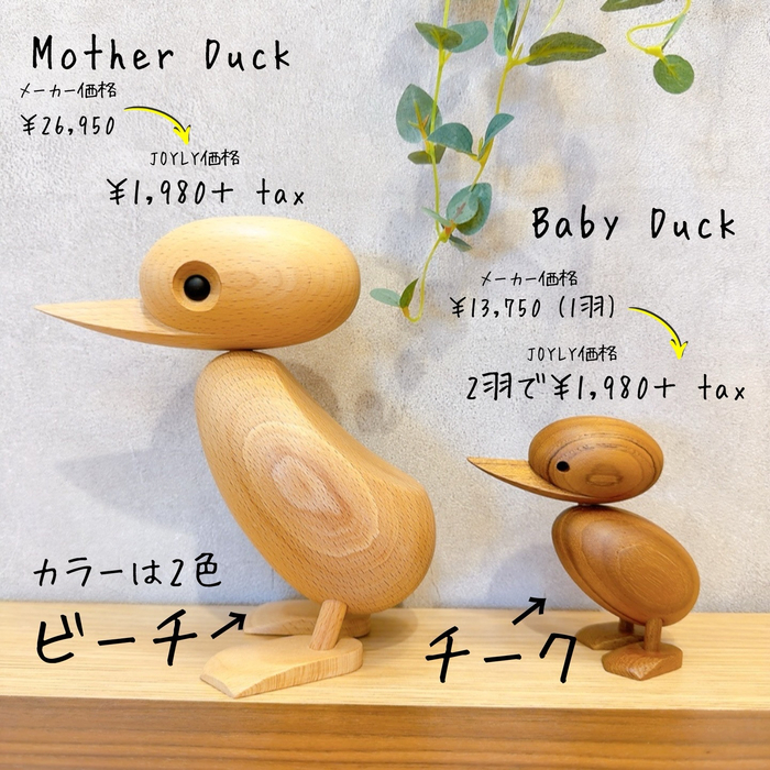 画像7997