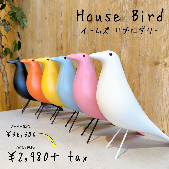 画像7998