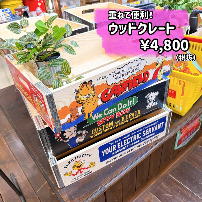 画像8024