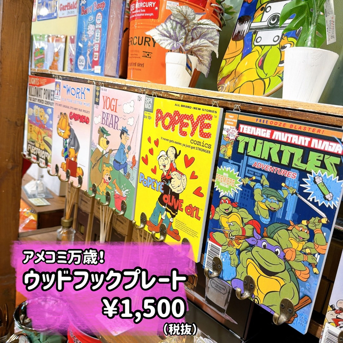 画像8031
