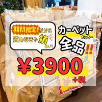 画像8123