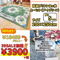 画像8127