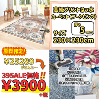 画像8129