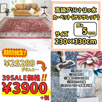 画像8134