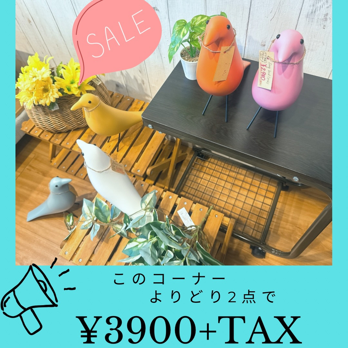 画像8203