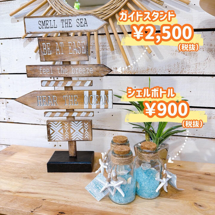 画像8248