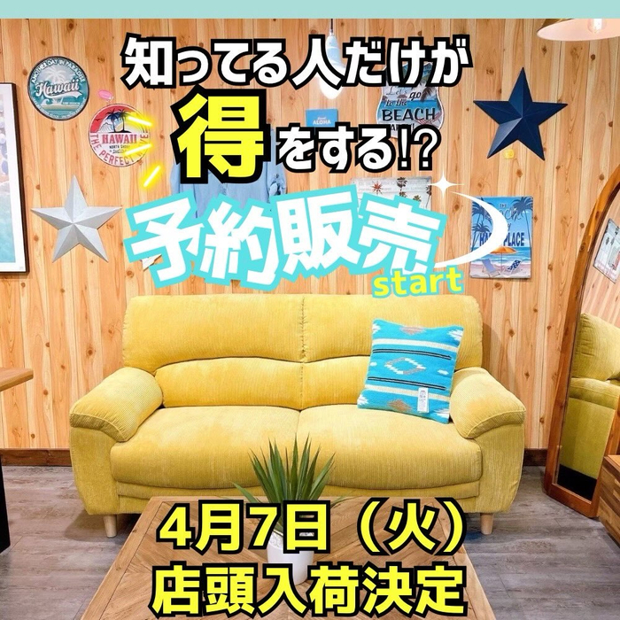 画像8261