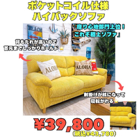画像8262