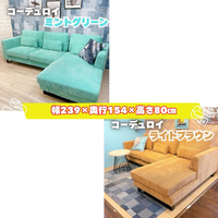 画像8267