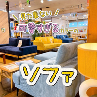 画像8406