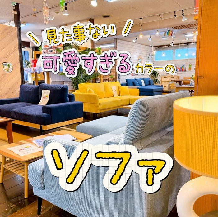 画像8406