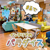 画像8408