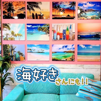 画像8410