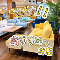 画像8412