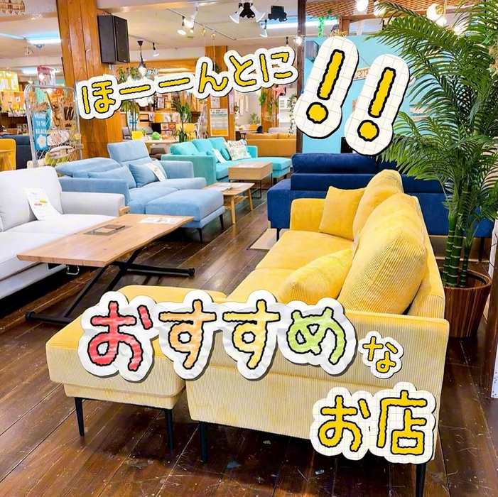 画像8412
