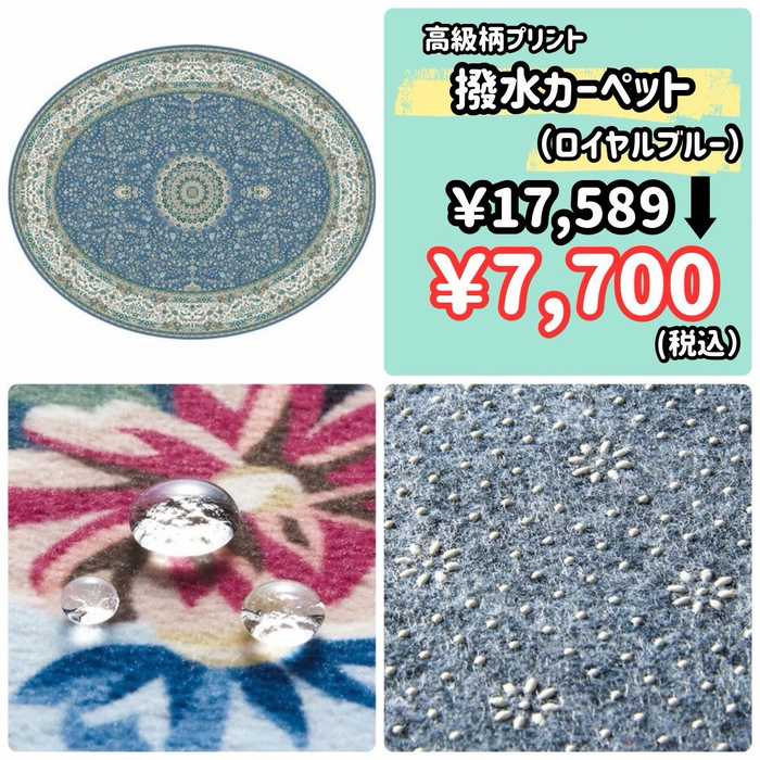 画像8448