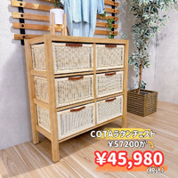 画像8656