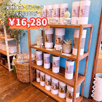 画像8659